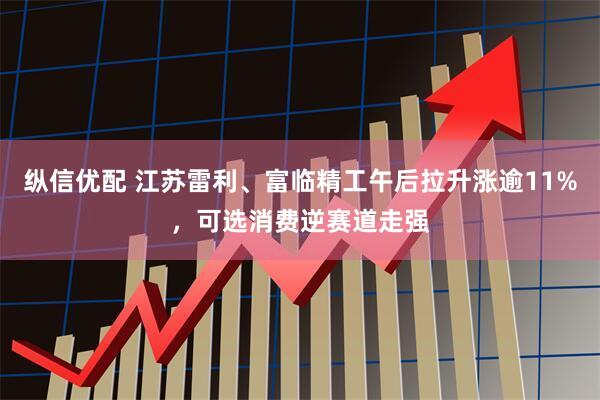 纵信优配 江苏雷利、富临精工午后拉升涨逾11%，可选消费逆赛道走强