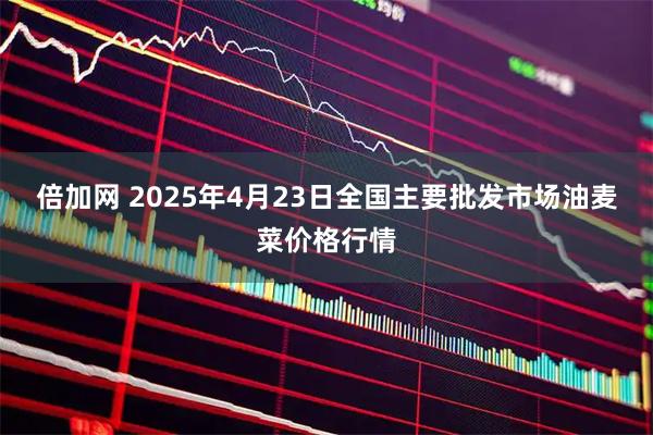 倍加网 2025年4月23日全国主要批发市场油麦菜价格行情