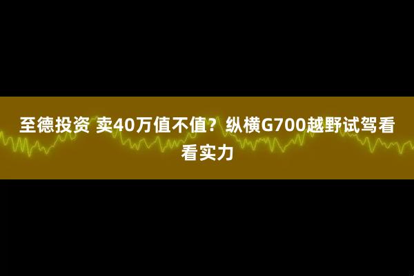 至德投资 卖40万值不值？纵横G700越野试驾看看实力