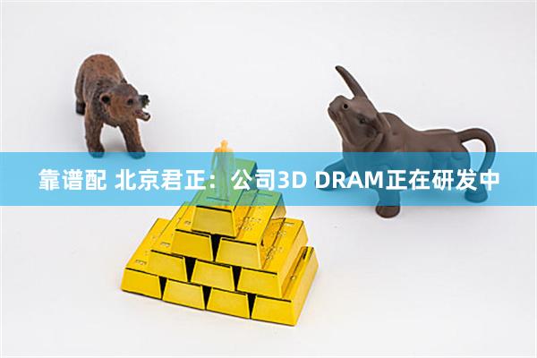 靠谱配 北京君正：公司3D DRAM正在研发中