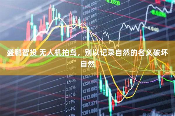 盛鹏智投 无人机拍鸟，别以记录自然的名义破坏自然